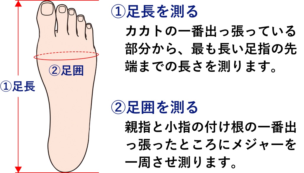 靴のサイズの正しい測り方 サイズ Com