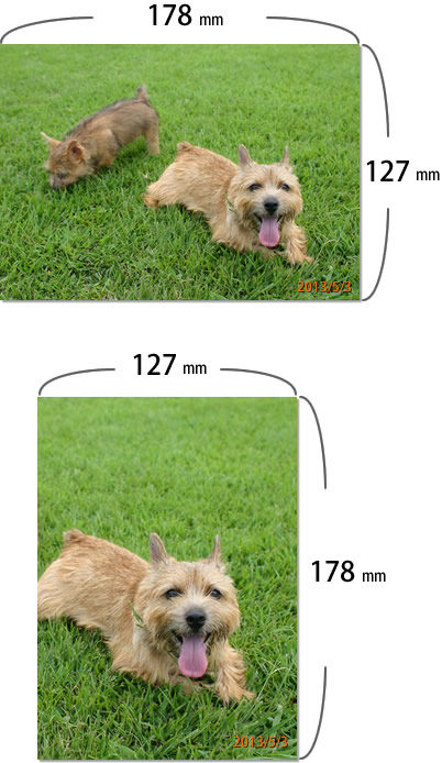 写真 2l サイズって何センチ サイズ Com